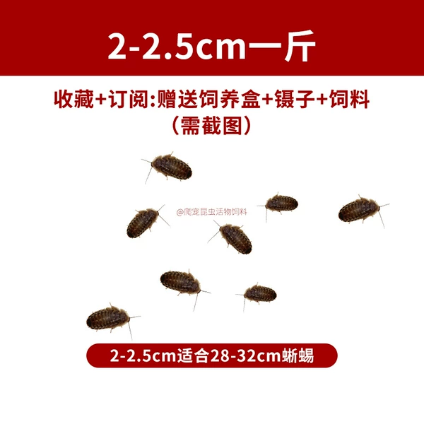 2–2,5 см