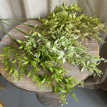 �¿�̽۷��滨�Gɫ�S�Gɫ�\�Gɫ���~����·�����̾Gֲ�b��~�� -