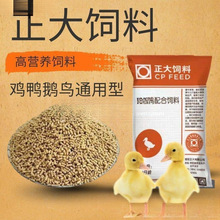 小鸡饲料正大鸭鹅鹦鹉八哥钓鱼颗粒开口食料高蛋白批发价一件批发
