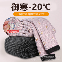 中老年棉花棉裤女冬季2025年新款高腰弹力修身保暖裤防寒保暖居家