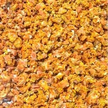 ���S���l���������r�_���r��ֻ��ʳ���x���^�r�r���ك����r