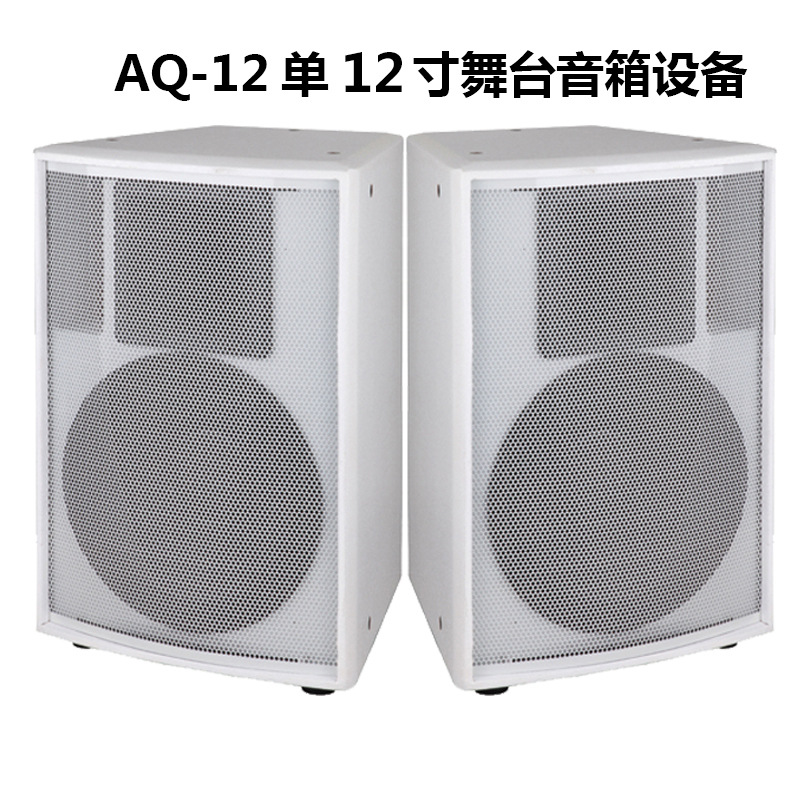 Altavoz de la sala de conferencias en casa etapa karaoke audio solo 12 pulgadas KTV audio profesional traje de audio