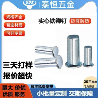 厂家供应铁铆钉铁镀锌高强度实心平头铁非标加长尺寸定制铁质