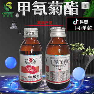 ����������x�� �����߲˼t֩�댣��ș���x�������rș���x����ȫ