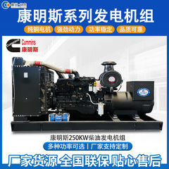 250kw カミンズ発電機セット 400kw600kw800kw1000kw 発電機セット ハイパワーサイレント