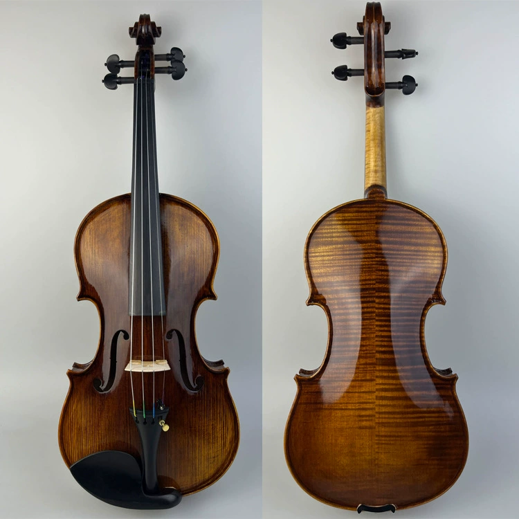 Coffee professional violin for adults, DIY