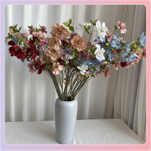 ?�LֻҰĵ�� ��c��Y����ɫ�bٻ� �Ҿ��b��ܲ廨�[��