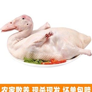 ������r�������r������B�r��ɢ�B���|�o���F����������Ј����l