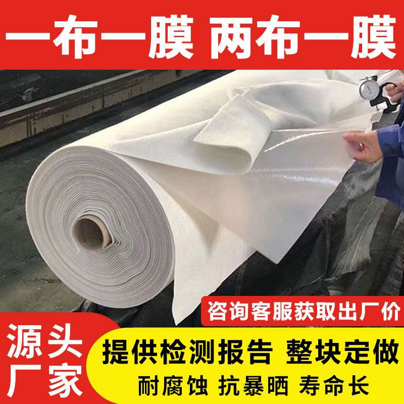 蓄水池hd防渗两布护坡专用防潮土工膜防水pe复合一膜鱼池一布一膜