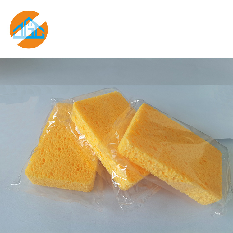 C sponge 14