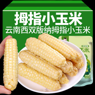 �����������p��{ĴָС�������r��Ŵ��Ŵ��ָ���׃�ͯ��ʳ���