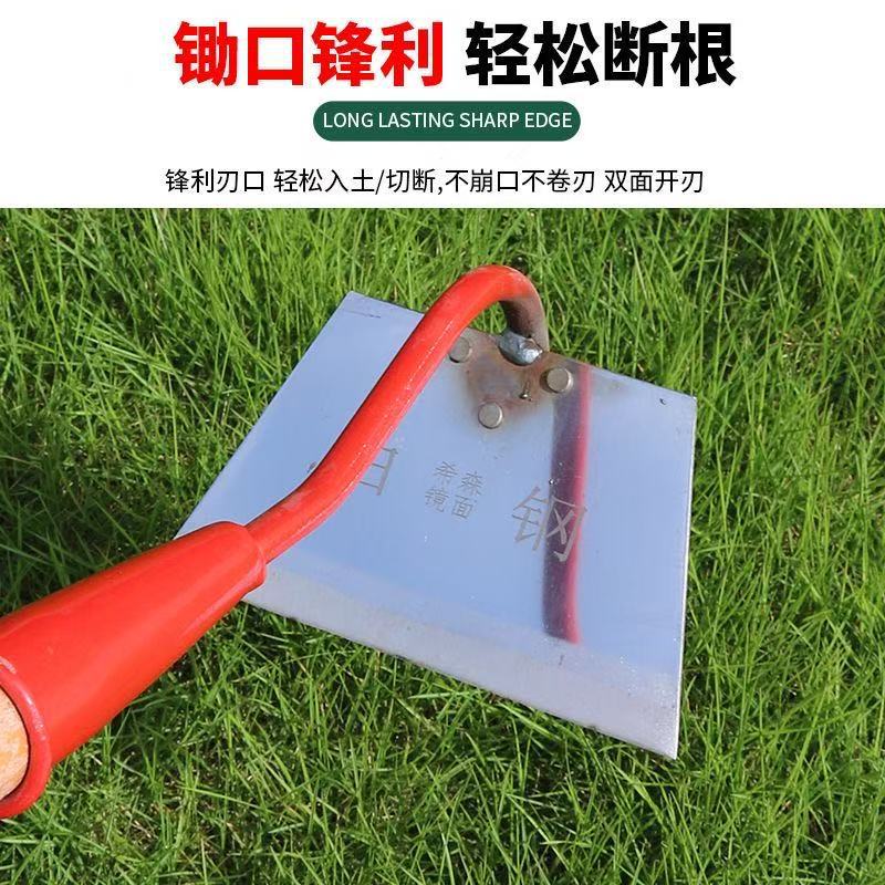 微信图片_202504091130103.jpg