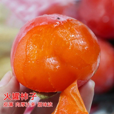 Huoguan хурма, 5‑летний саженец, плодоношение в год посадки, 81–110 см