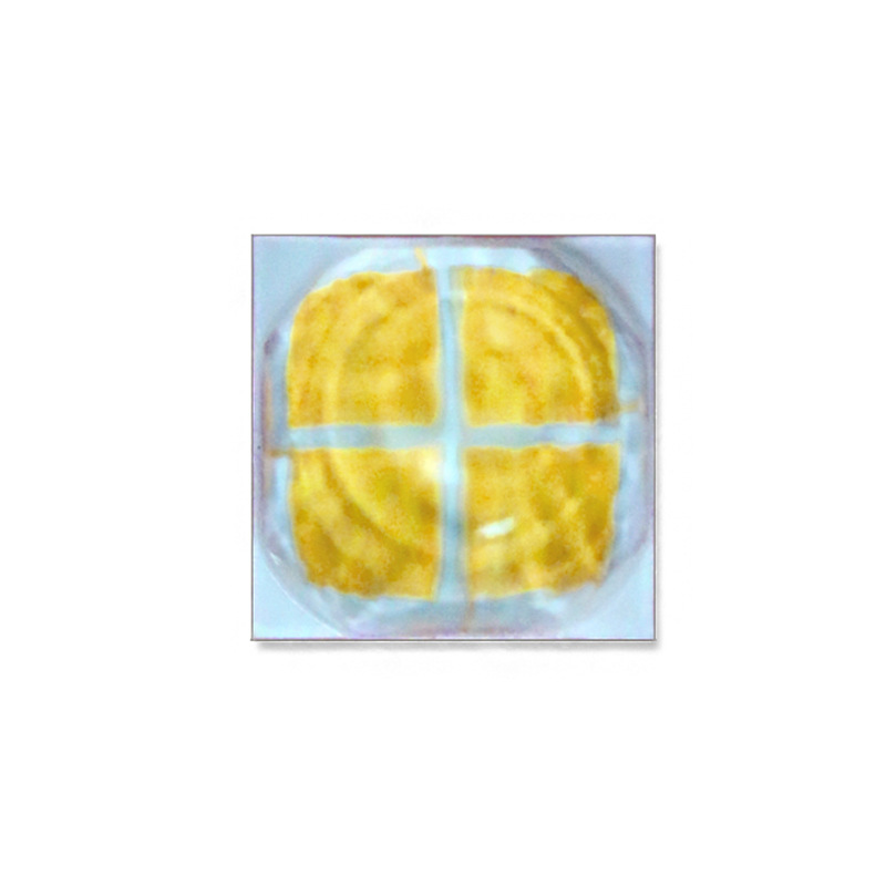 5050���� �¿���XHP50ů�׹�ͷ�ƹ�Դ20w����led������Ƭ�ֵ�Ͳ