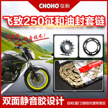 适用雅马哈 天剑王YBR250飞致 链盘齿轮链轮征和正品油封链条配件