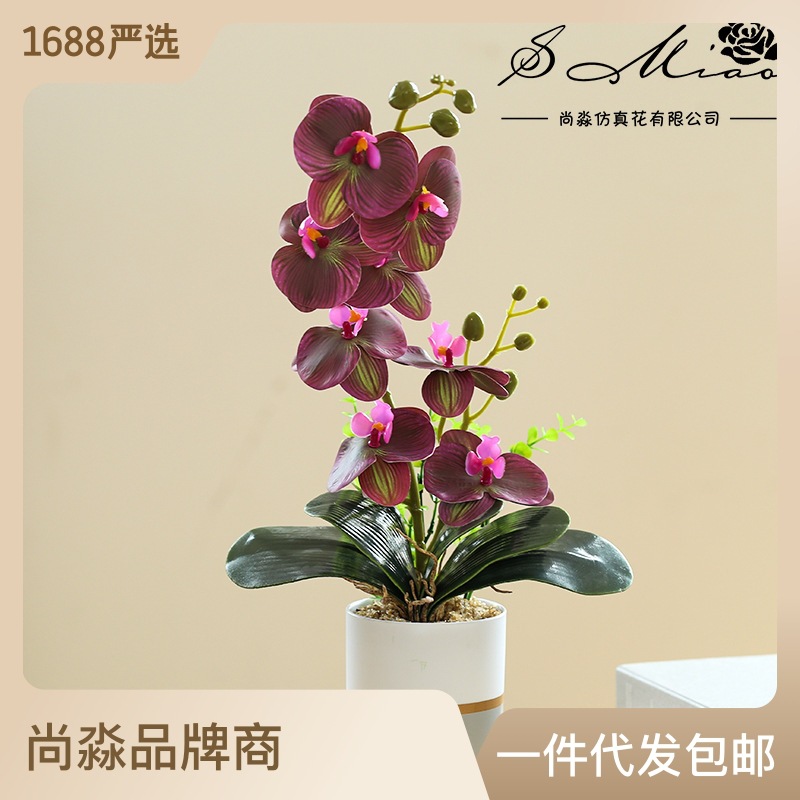 Flor artificial de dos tenedores de ocho cabezas Phalaenopsis bonsai flor artificial bonsai suministro directo de fábrica decoración del hogar entrega de una pieza image 4