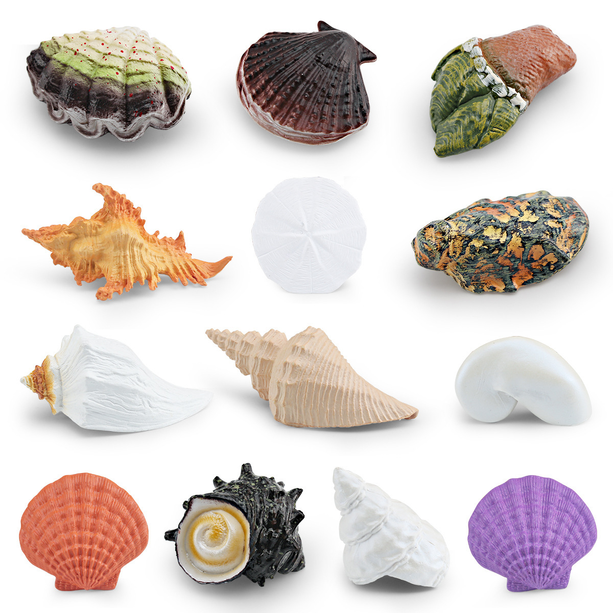 Simulación transfronteriza conchas de flores, caracoles, caracoles, caracoles, huesos de pies, caracoles, ostras, modelo de vida marina, conchas, adornos estáticos