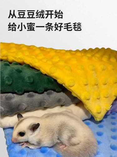 蜜袋鼯毛毯保暖垫子豆豆绒宠物被子毛巾松鼠仓鼠毯子睡觉用品