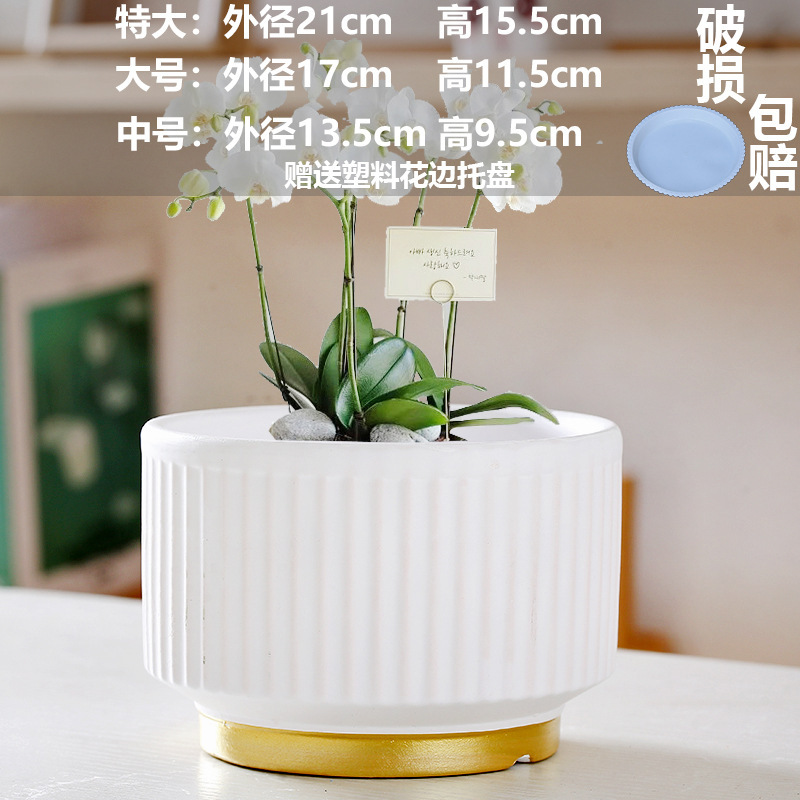 直販の陶器製植木鉢、胡蝶蘭専用鉢、家庭用リビングルーム、一件代発送|undefined
