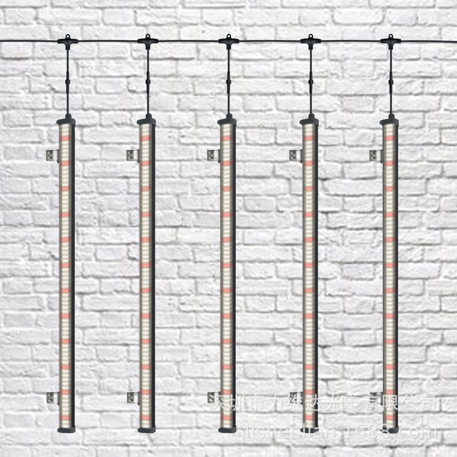 ά羳0.5M 1M 1.5M˫ֲưlm301bֱũȫˮ