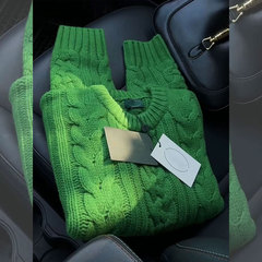 绿色浣熊绒麻花套头毛衣女冬别致高级感慵懒风加厚内搭打底针织衫
