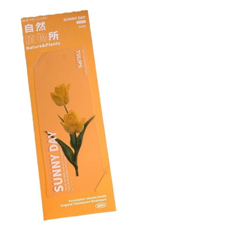 Mo mo PET translúcido marcador natural planta Instituto serie ins estilo diario DIY material decoración 5 unidades en 6 tipos