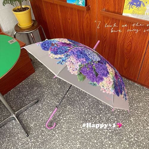 Hot selling Japanese fantasy hydrangea ball transparent umbrella automatic long handle thickened wind-resistant high-end fashion niche new model