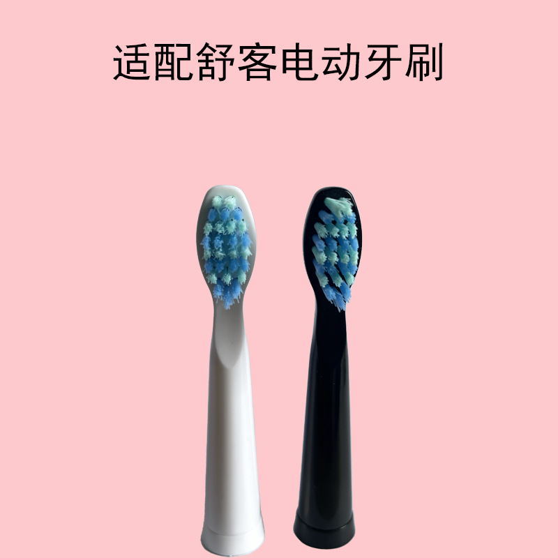 화이트