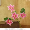 4 Magnolia