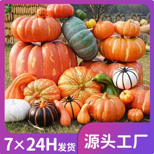 �Ĕz�b������b����߷�����Ϲϻ����c�Ϲ��f�}���ϹϷ����Ϲ�