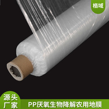 ɽrϱĤ׵ĤӺ͸BֳϲPEĤ