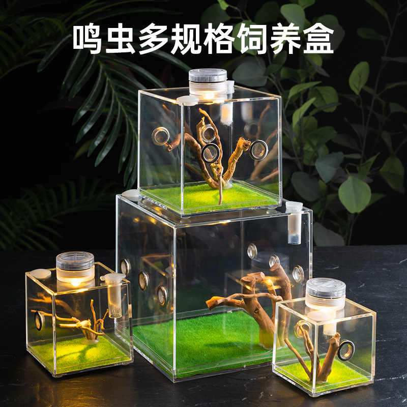 宠物蜘蛛昆虫亚克力饲养盒螳螂蝈蝈迷你爬虫生态盒玲跳蜘鸣虫盒子