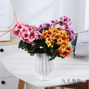�F؛���� �� ���Ļ� ��c�ҾӲ͏d �zӰ�����b廨�������