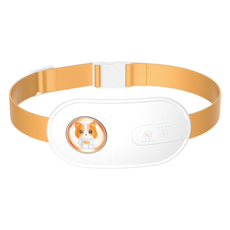 Instrumento de masaje uterino frío caliente compresa caliente Palacio bebé tía artefacto dolor caliente calefacción eléctrica regalo cálido cinturón Palacio