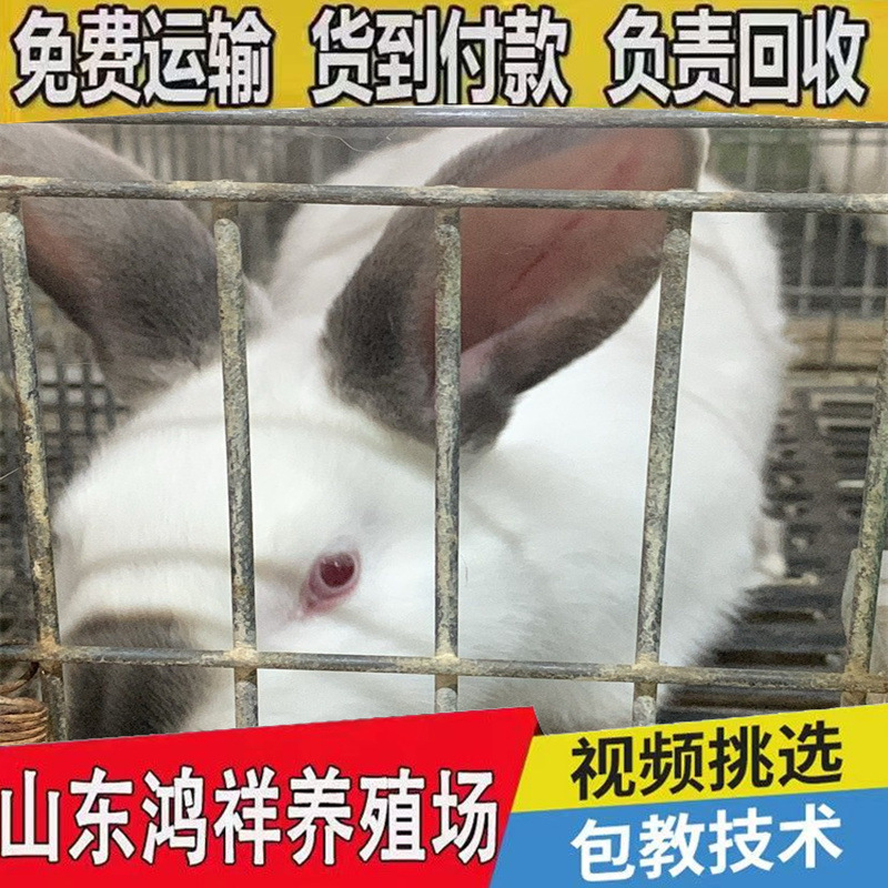 d9eebf59ab904d489cae3078d5c7f7