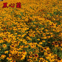 ���ľջ��N�ӽ��ջ��N���Ӷ������ļ��׻�ͥԺ����ͥԺ�����޸�