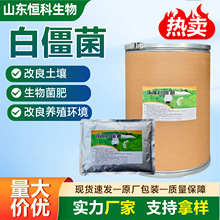 球孢白僵菌农用生物菌剂水溶性粉剂害虫防治球孢白僵菌