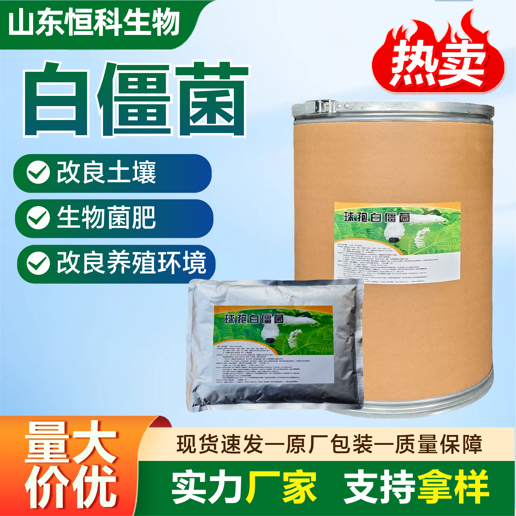 球孢白僵菌农用生物菌剂水溶性粉剂害虫防治球孢白僵菌