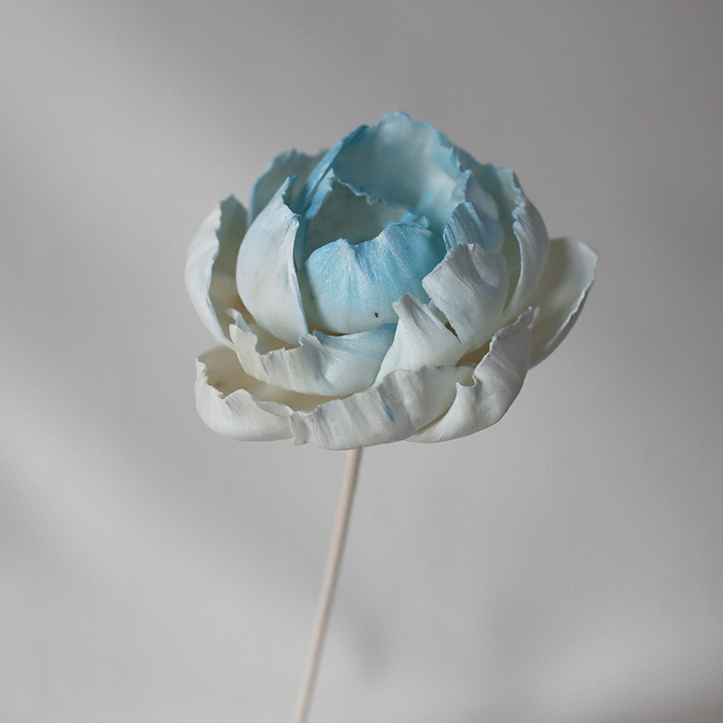 Una flor de peonía de hierba azul nepalés
