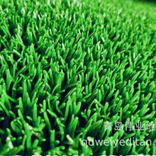 ֱ�N���ތ����Խ������մ�������ս��ÈԌ���ĥ ����