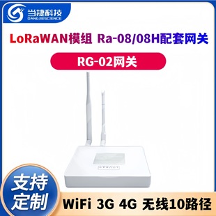 LoRaWAN module Ra-08 08H supporting gateway WiFi 3G 4G wireless 10 path RG-02