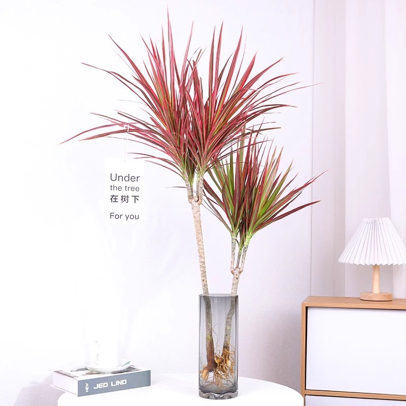 0175eae7-ef4b-4943-a119-fce31c62baa2.jpe