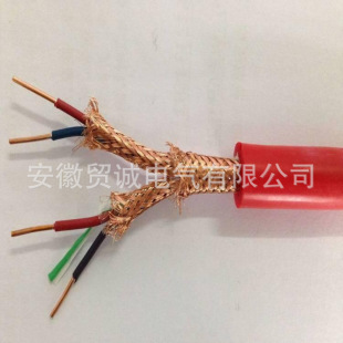 �����z��|ZC-DJFPGP-2*2*1.0 2*2*1.5�͸ߜ�Ӌ��C��|