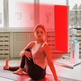 其他生活电器;其他按摩器材;电热护膝护腰