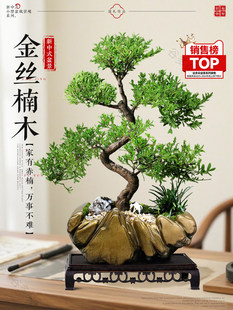 ��z�ľ��ʽ�辰���Կ͏d�҃ȶU����B�Gֲ�ļ��������ͶYֲ��