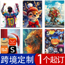 跨境DIY钻石画满钻5D 希音亚马逊TEMU平台热销来图厂家批发代贴标