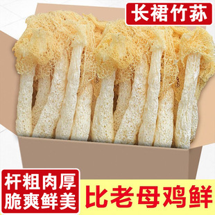 ��������؛�����p��؛�����خa�Lȹ���p�����»�����r�Ҝ�ʳ��