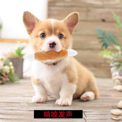 Pet Plush Sound Toys Dog Toys Wholesale Nibble Educational Toys Puppy Cat Supplies Chicken Legs