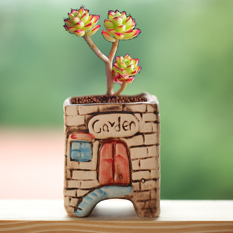 Creative Hand-Painted Succulent Flower Pots, Coarse Pottery Pots, Special Price Ceramic Indoor Succulent Small and Medium Flower Pots, Clearance Wholesale Street Stalls