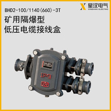 100AӾBHD2-100/1140(660)2T 3T 4T͉|Ӿ